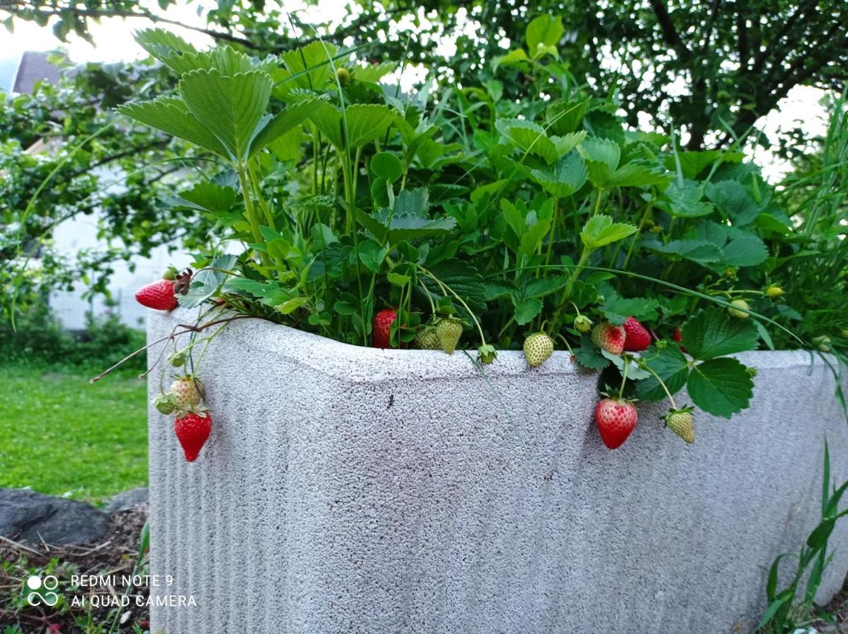 דירות Beura Il Giardino Segreto מראה חיצוני תמונה