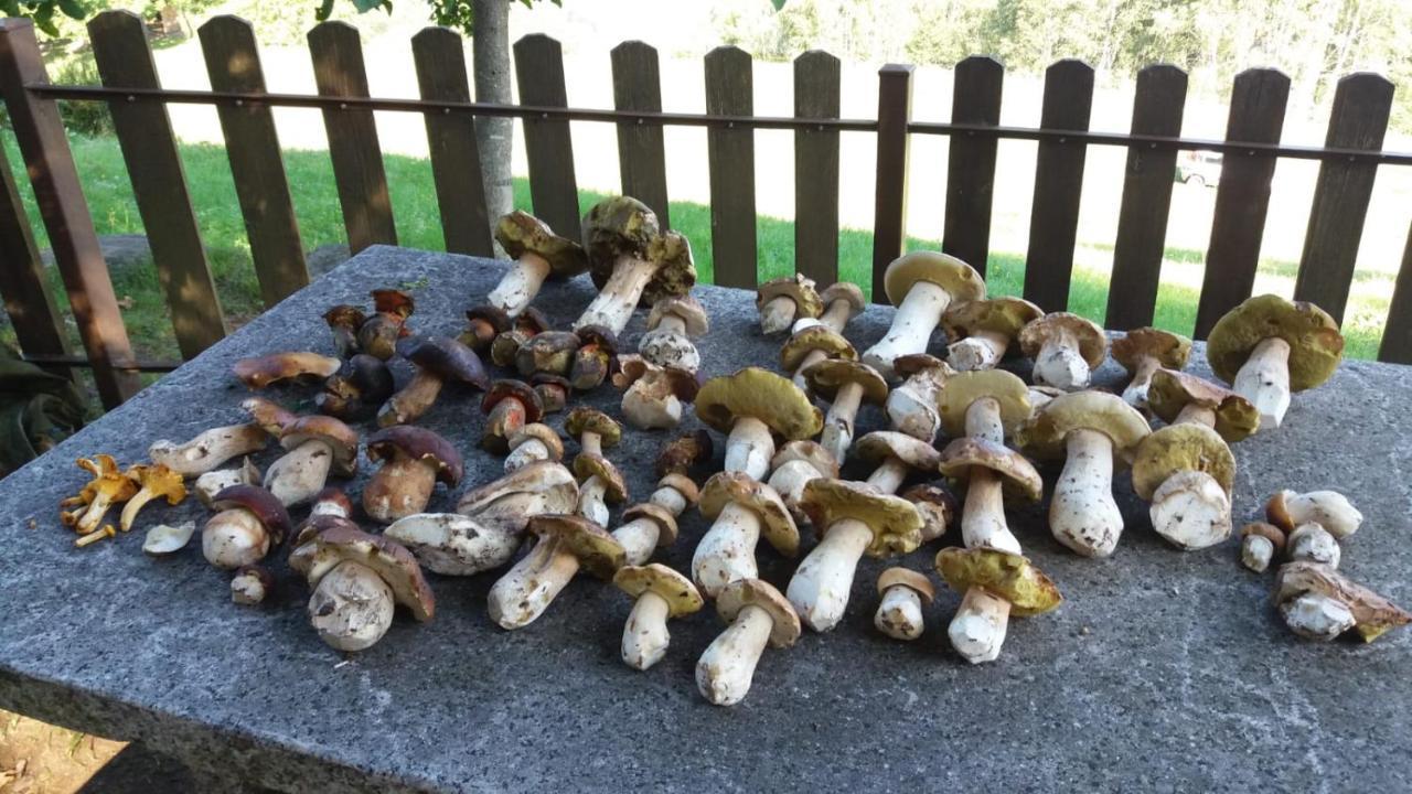 דירות Beura Il Giardino Segreto מראה חיצוני תמונה